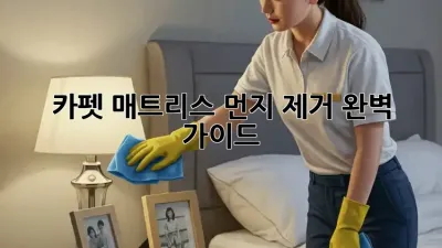 카펫, 매트리스 먼지 제거 완벽 가이드!